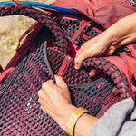 โหลดรูปภาพลงในเครื่องมือใช้ดูของ Gallery Kalmia 60 - GregoryThai