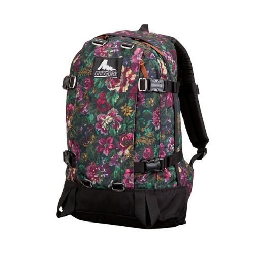 Gregory all shop day pack