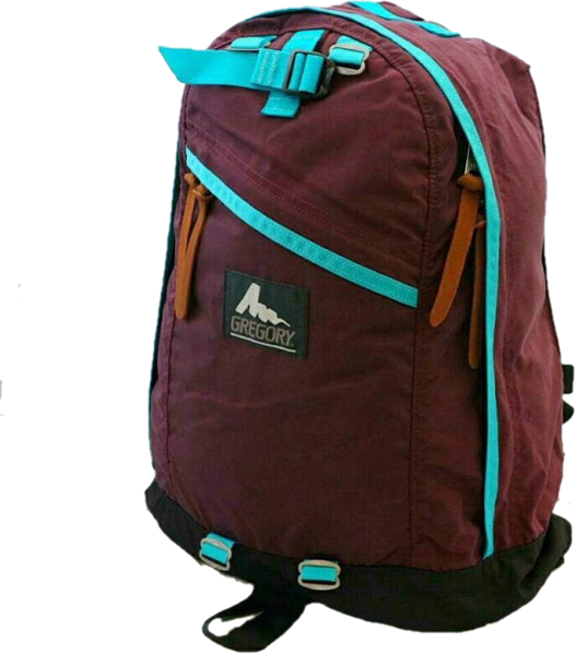 Gregory any hotsell day pack